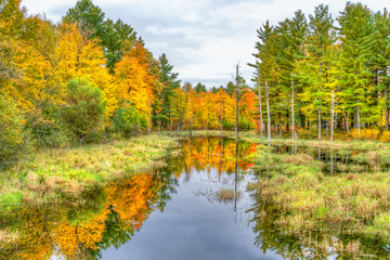Fototapeta na wymiar Autumn Foliage and Marsh in Northwestern Wisconsin