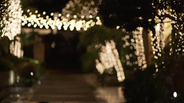 Bokeh from white Christmas lights wrapped around trees and hung overhead for green screen or chroma key. Out of focus or defocused shot for compositing or keying.  