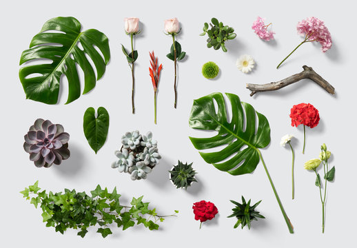 Kit de escena de flores y plantas