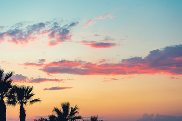 Obraz na płótnie Canvas Tropical palm trees sun light at sunset sky cloud abstract background