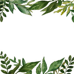 Watercolor frame with green leaves, twigs, branches, and flower isolated on the white background. Greeting card or wedding invitation template with the space for text.