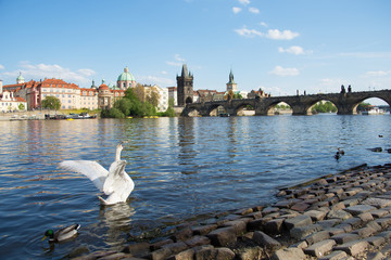 Charles Bridge in Prague
