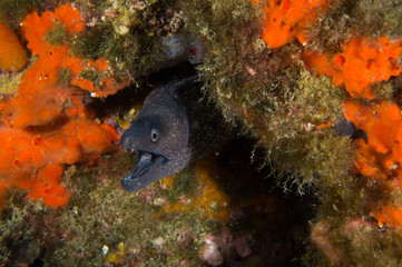 Morena en cueva