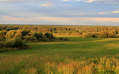 Obraz premium sunset over wheat field