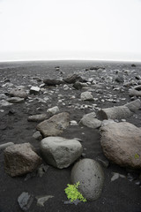 Felsformationen in Süd-Island: Felsnadeln Reynisdrangar und Felsentor Dyrholaey am schwarzen Lavasandstrand