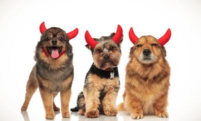 3 happy little devils celebrating halloween