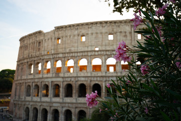 Obraz premium Colosseo
