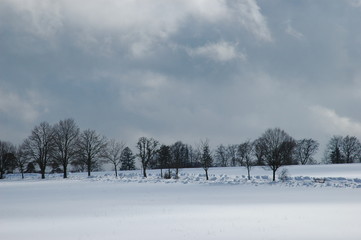 Schneelandschaft