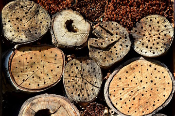 Insektenhotel, Nisthilfe, Insektenschutz