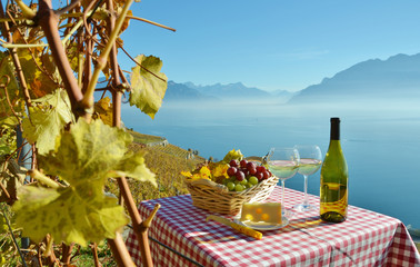 Wine and grapes against Geneva lake, Switzerland - 226565248
