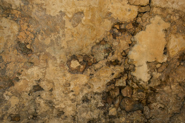 Grunge wall brown background. Abstract old texture with copy space