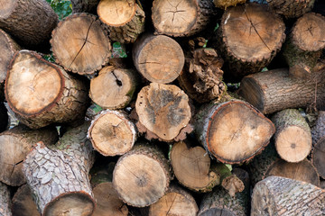 Firewood in woodpile, prepared for Winter. Pile of firewood. The firewood background. A stack of neatly stacked, dry firewood outdoors.