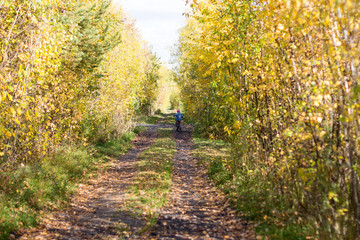 The boy rides a bicycle on a rural road in a shady alley, flooded with sunlight with leaves and bushes with yellow foliage.