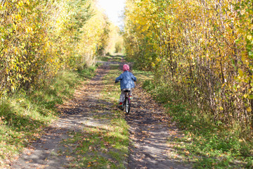 the boy rides his bike on the road between thickets of bushes with yellow leaves in the autumn, through which sunlight makes its way