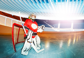 Young boy goaltender with hockey stick on the rink