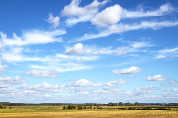 Rural landscape in Brandenburg, Germany