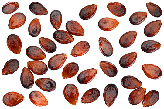 Ripe watermelon seeds collection