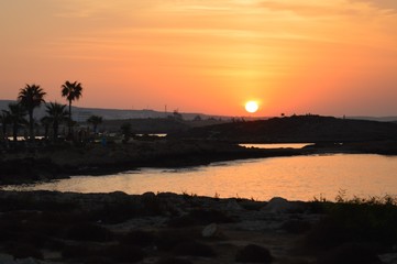 Naklejka premium davids Fotos