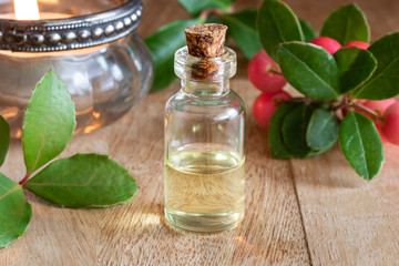 A bottle of wintergreen essential oil with fresh wintergreen