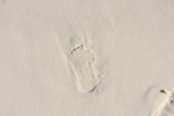 Footprint in the sand