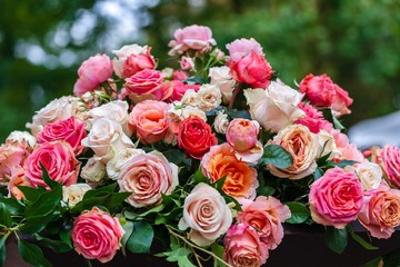 Bouquet of pink roses