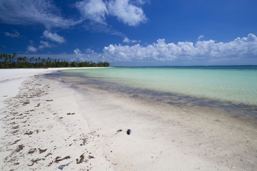 Zanzibar, landscape sea, white sand