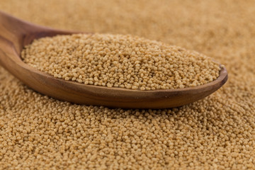 amaranth grain closeup
