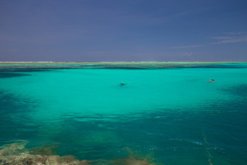 Zanzibar, landscape sea, coral reef