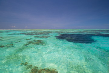 Fototapeta premium Zanzibar, landscape sea, coral reef