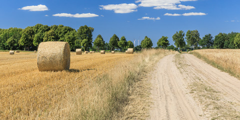 Feldweg durch Landschaft mit Getreidefeldern mit Strohballen bei Horndorf in der Ostheide,...