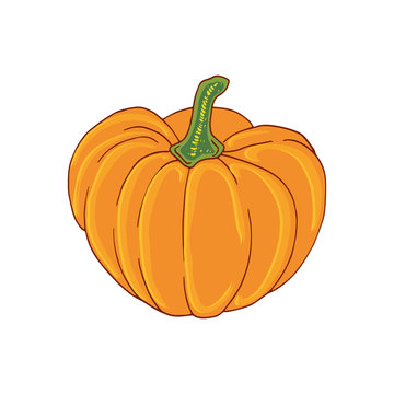 Pumpkin illustration. Vegetable organic print. Sticker patch design.