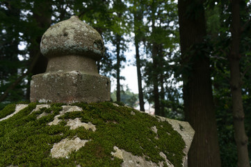 Old concrete pillar covered by moss, forest in the background
