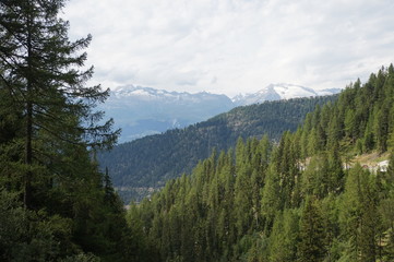 Montagnes et forêts