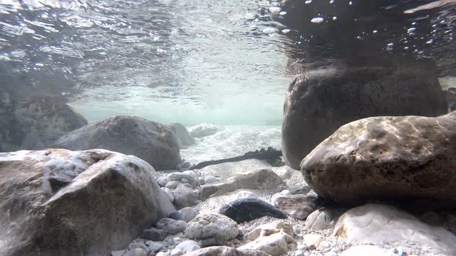 Bergbach- Unterwasser