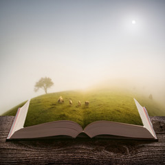 Herd of sheeps on the pages of book