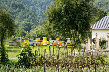View on moraca monastery apiary and garden