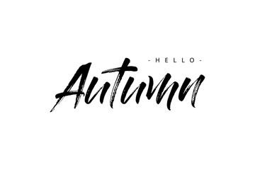 Hello Autumn, black text handwritten calligraphy. Set of autumn leaves. Modern lettering vector illustration on the textured background as poster, postcard, card, invitation template. Concept seasons
