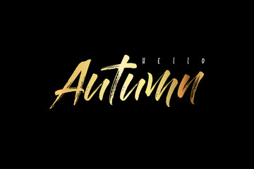 Hello Autumn, gold text handwritten calligraphy. Black background. Modern lettering vector illustration on the textured background as poster, postcard, card, invitation template. Concept seasons