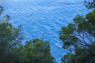 El mar entre los pinos