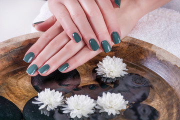 Obraz na płótnie Canvas Olive color gel nails polish manicure on girl hands above water with white flowers and black decoration stones in wooden bowl. Manicure and beauty concept. Close up, selective focus