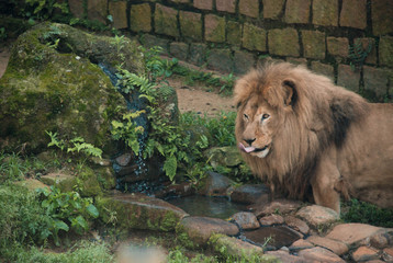 Naklejka premium This Photos can use for a calm place