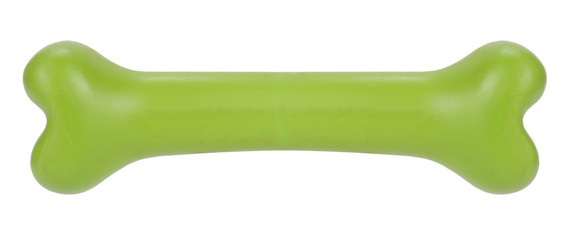 Dog bone green pet toy
