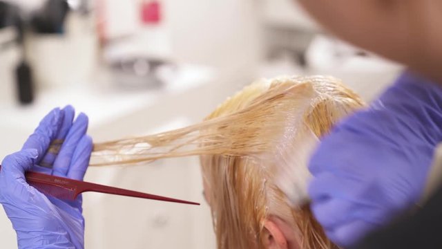 A hairdresser's hand in blue gloves holds a thin strand of hair parted. She combs it, applies some hair-dye on hair roots with a tint brush, picks up a thin strand, and applies dye again.