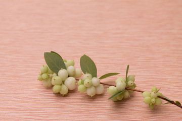 branch with white berries on pink textured background paper beautiful summer autumn