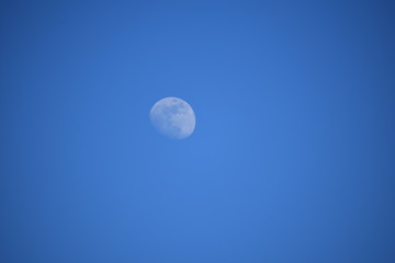 Moon during the day