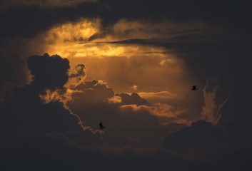 Sunrise at the Blacksea