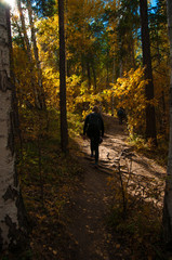 Fototapeta premium Tourist girl and beautiful autumn nature