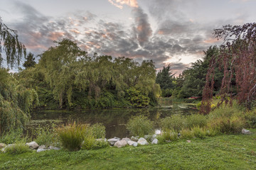evening landscape at sunset of the day in a city park with a lake, trees, bushes and grass