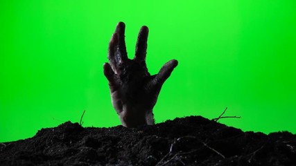 Zombie hand emerging from the ground grave. Halloween concept. Green screen. 015