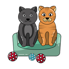 two cats sitting in the bed with balls toy